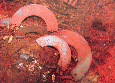 2005y20.jpg