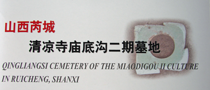 CHA30.jpg
