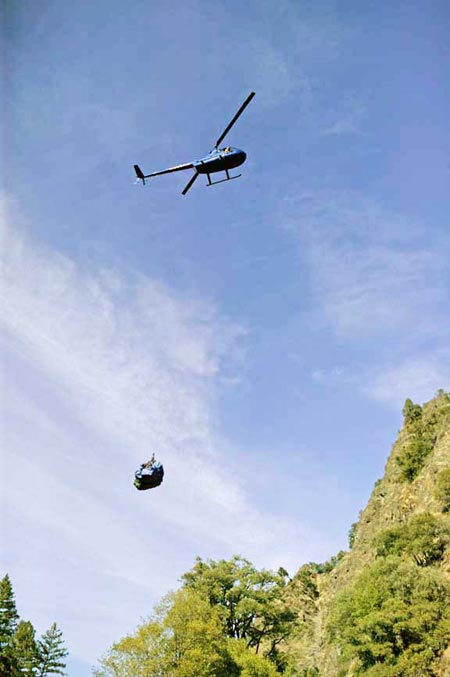 EHELI.jpg